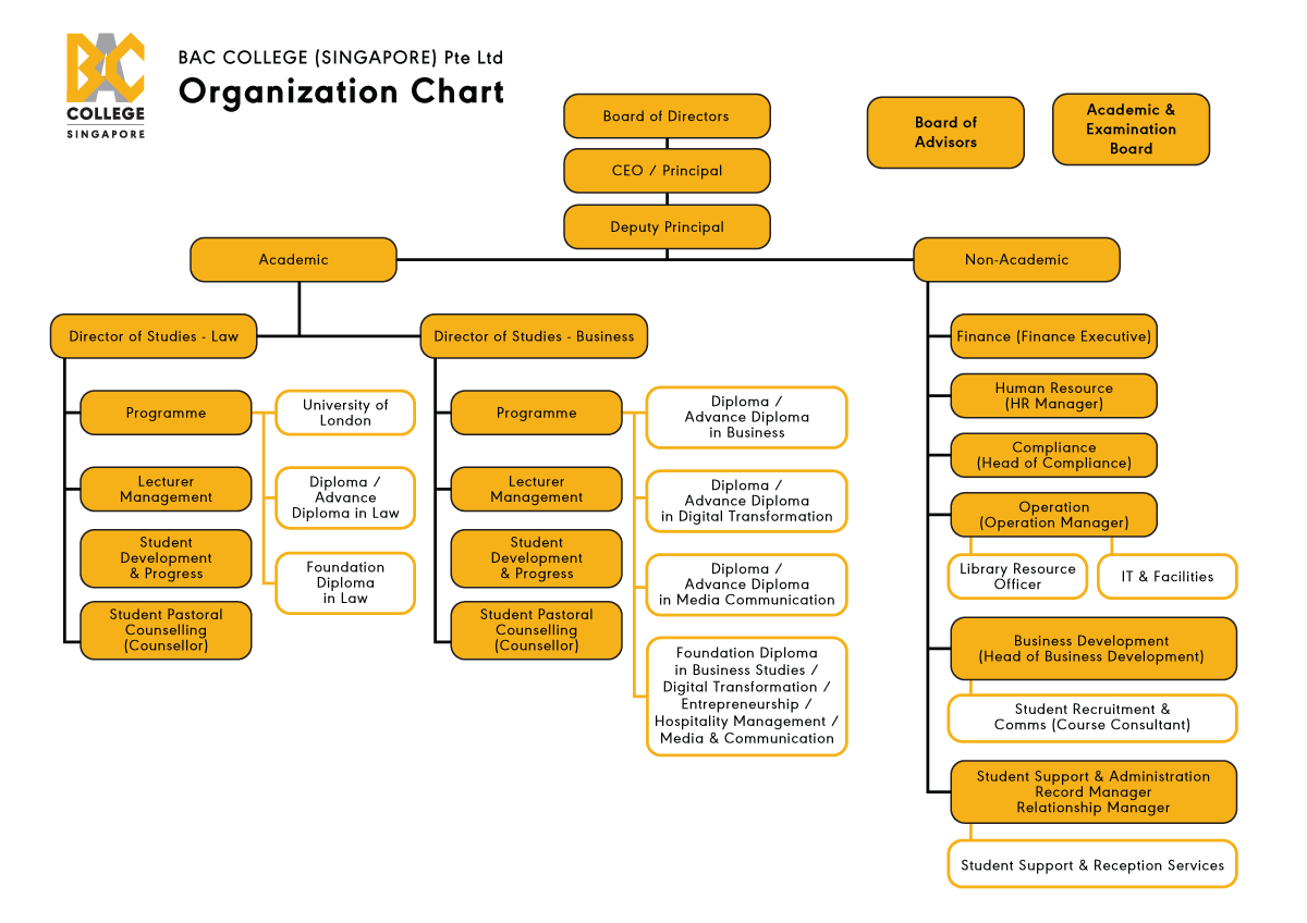 Organization-Chart